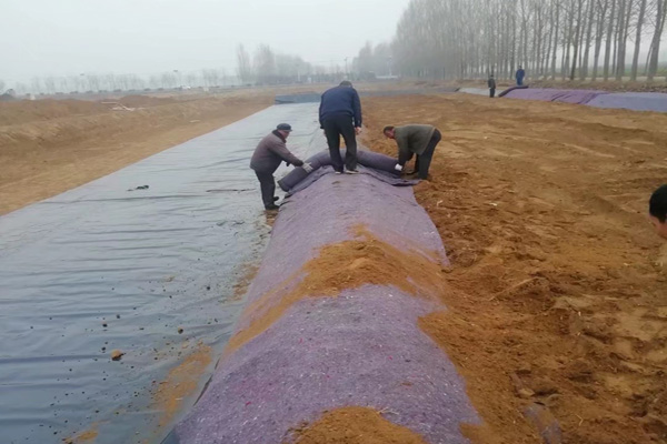 成人抖音在线软件在雨季鋪設的注意事項